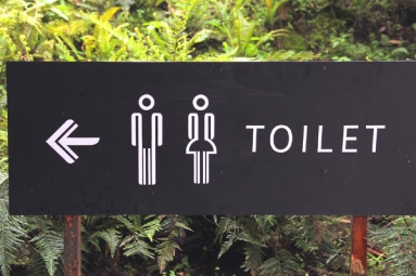 6 Things You Should Never Do in a Public Toilet